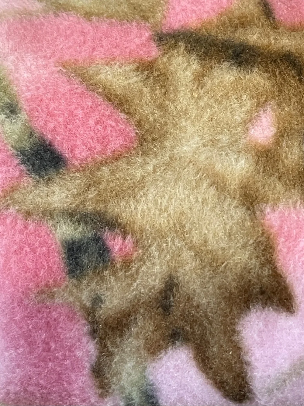 Fleece Fabric Remnant Pink Camo 59
